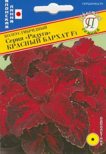 Колеус Радуга Красный бархат F1 10 шт, Семена Престиж