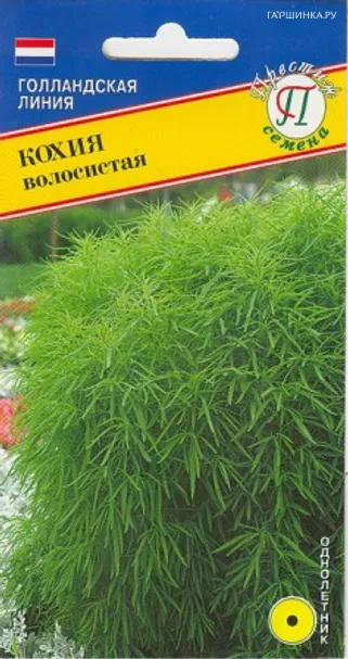 Кохия волосистая 1 г, Семена Престиж