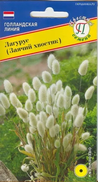 Лагурус (заячий хвостик) 10 шт, Семена Престиж