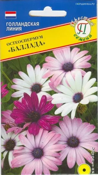 Остеоспермум Баллада 5 шт, Семена Престиж