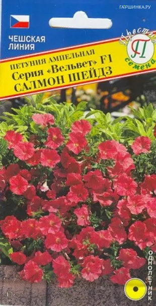 Петуния Вельвет Салмон Шейдс F1 ампельная 5 др, Семена Престиж