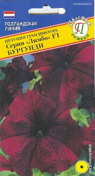 Петуния гранд."Лимбо" F1 Бургунди 10 др, Престиж