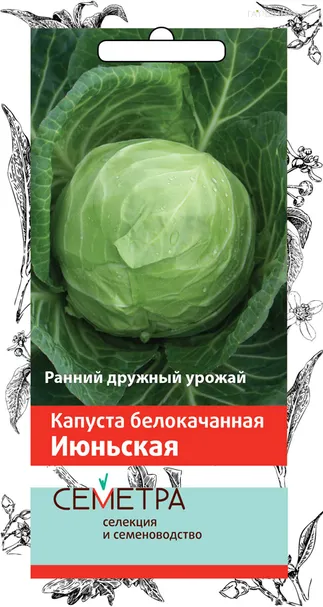 Капуста Июньская белокочанная 0,5 г, Семена Поиск