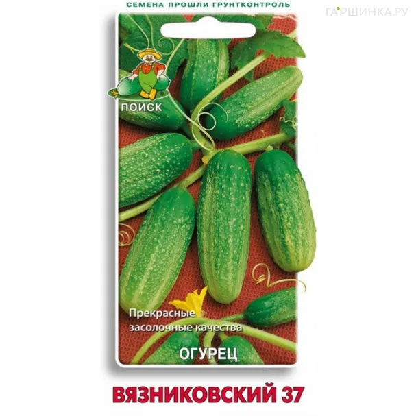 Огурец Вязниковский 37 0,5, Поиск