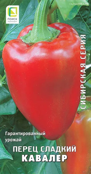 Перец сладкий Кавалер 0,25, Поиск