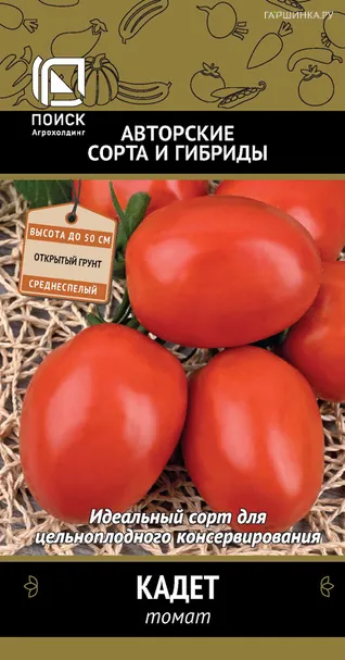 Томат Кадет (А) 0,1, Поиск