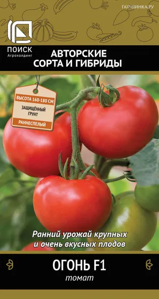 Томат Огонь F1 (А) 12, Поиск