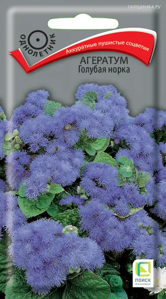 Агератум Голубая норка 0,1, Поиск