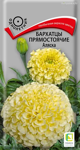 Бархатцы Аляска прямостоячие 0,4 г, Семена Поиск