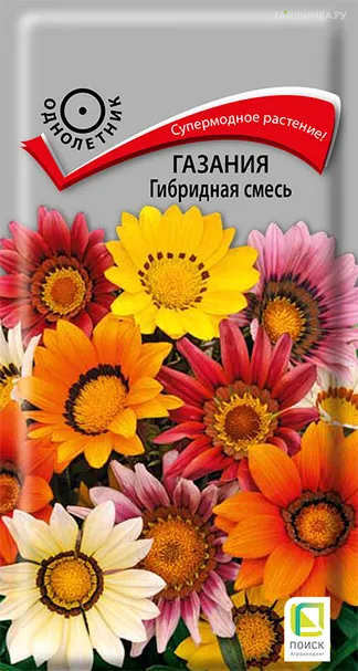 Газания Гибридная смесь 0,25 г, Семена Поиск