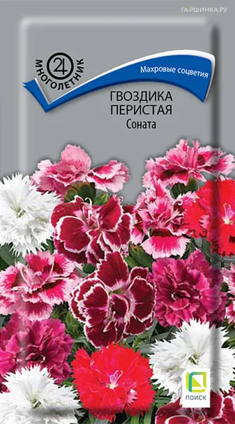 Гвоздика Соната перистая 0,05 г, Семена Поиск
