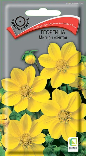 Георгина Мигнон желтая 0,2 г, Семена Поиск