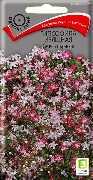 Гипсофила изящная Смесь окрасок 0,2 г, Семена Поиск