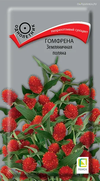 Гомфрена Земляничная поляна 0,1 г, Семена Поиск