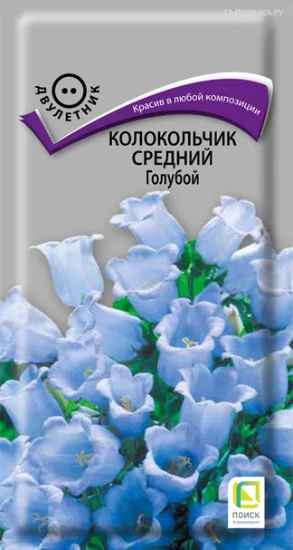 Колокольчик средний Голубой 0,2, Поиск