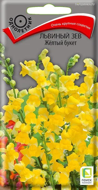 Львиный зев Желтый букет 0,1, Поиск