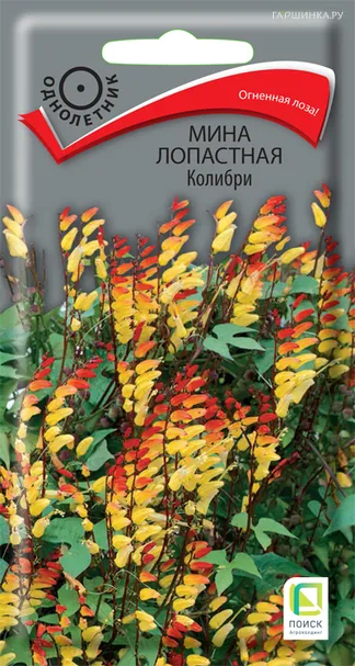 Мина лопастная Колибри 0,1, Поиск