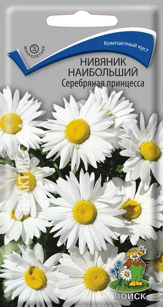 Нивяник наибольший Серебряная принцесса 0,15, Поиск