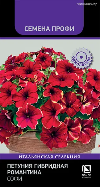 Петуния Романтика Софи гибридная 7 шт, Семена Поиск