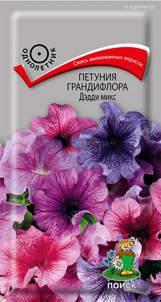 Петуния грандифлора Дэдди микс 20, Поиск