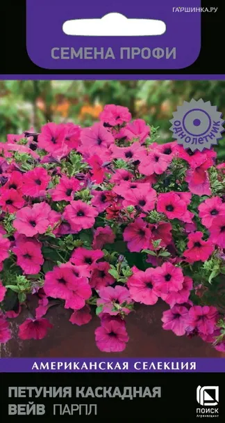 Петуния каскадная Вейв Парпл 5, Поиск