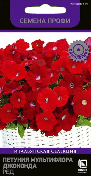 Петуния мультифлора Джоконда Ред 10, Поиск