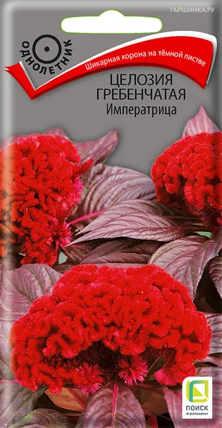 Целозия гребенчатая Императрица 0,1, Поиск