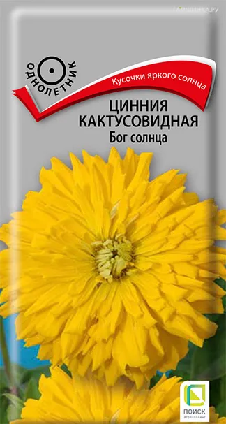 Цинния кактусовидная Бог солнца 0,4, Поиск