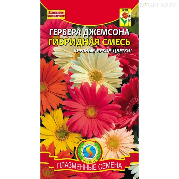 Гербера Джемсона гибридная смесь, 10 шт, Плазменные семена