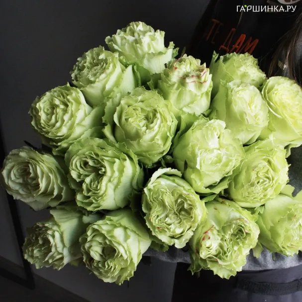 Роза Лимонад