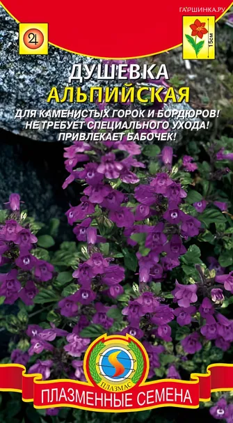 Душевка альпийская 0,01г, Плазменные семена