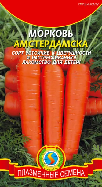 Морковь Амстердамская 2 г, Плазменные семена