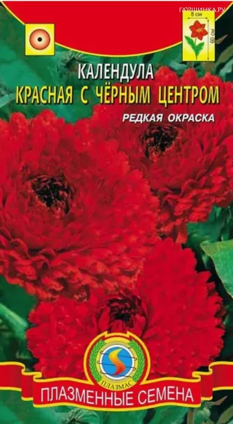 Календула Красная с чёрным центром 0,3 гр Плазменные семена