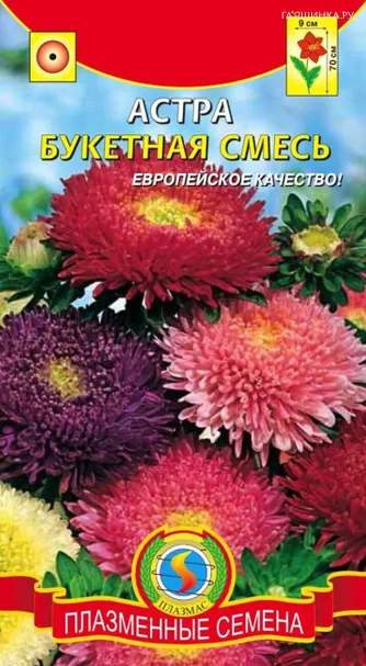 Астра Букетная смесь 0,3 г, Плазменные семена