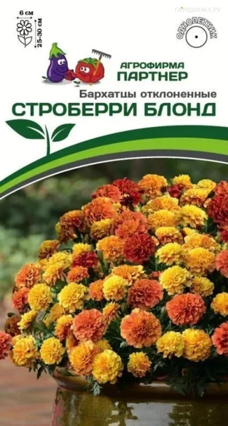 Бархатцы отклоненные Строберри Блонд (снова в продаже) 10 шт. Партнер