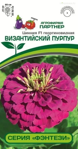 Цинния георгиновидная "Фэнтези" F1 Византийский Пурпур 4 шт. Партнер