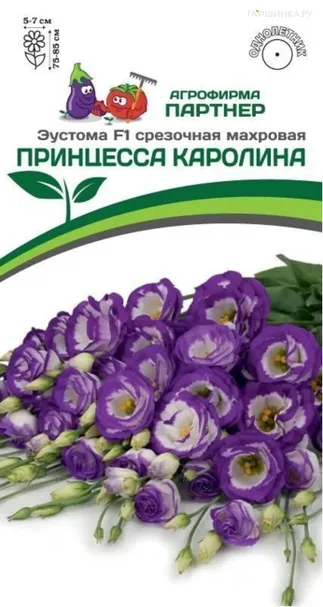 Эустома F1 срезочная махровая голубая Принцесса Каролина 5 шт. Партнер