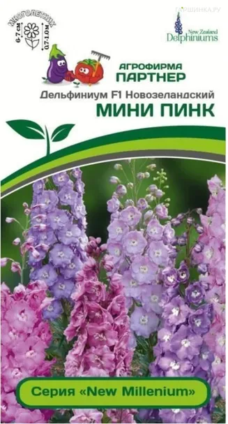 Дельфиниум новозеландский Мини Пинк F1 3 шт. Партнер