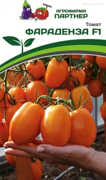 Томат Фараденза F1 10 шт. Семена Партнер