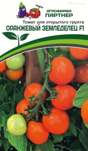 Томат Оранжевый Земледелец F1 0,05 гр. Партнер