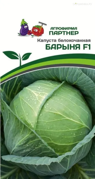 Капуста Барыня F1 белокочанная позднеспелая 0,2 г, Семена Партнер