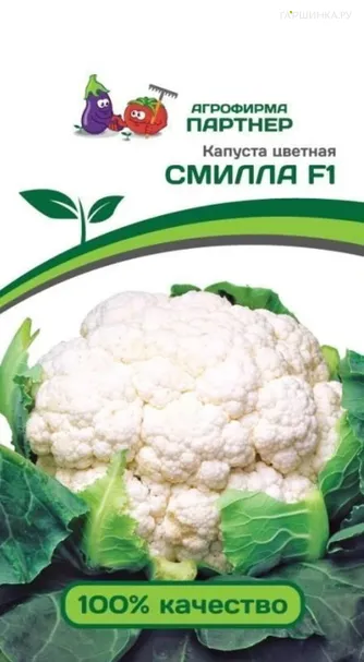Цветная капуста Смилла F1 10 шт. Семена Партнер