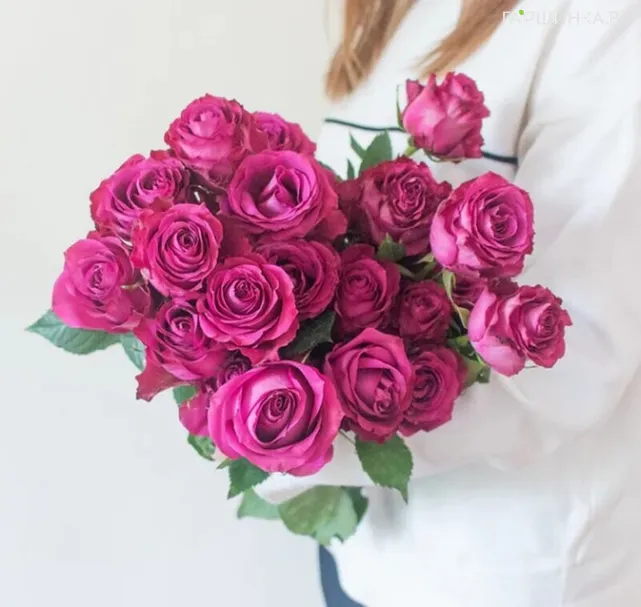 Роза Блуберри чайно-гибридная