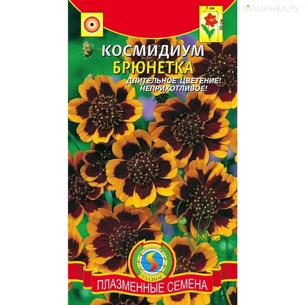 Космидиум Брюнетка 30 шт, Плазменные семена