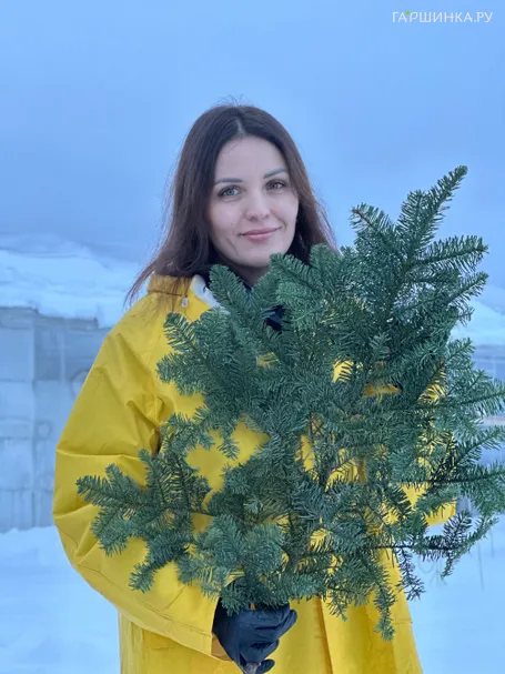 Нобилис (ветка пихты) большая 70 см