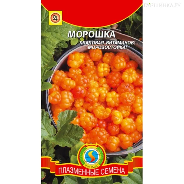 Морошка ц/п 8 шт, Семена Плазмас