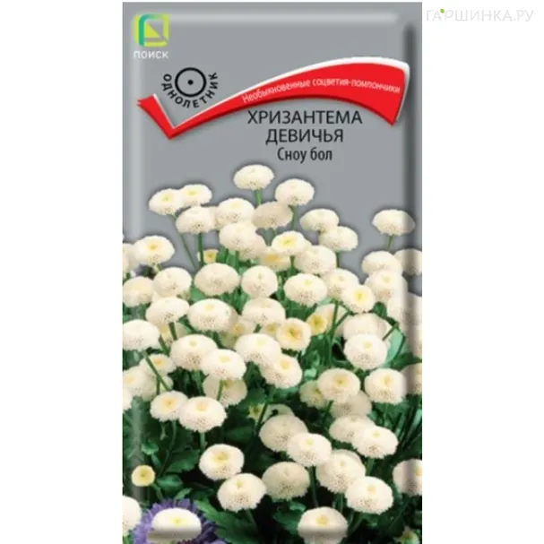 Хризантема Сноу Бол девичья 0,05 г, Семена Поиск