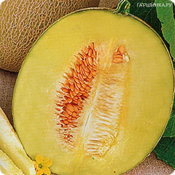 Дыня Паспорт F1 5шт