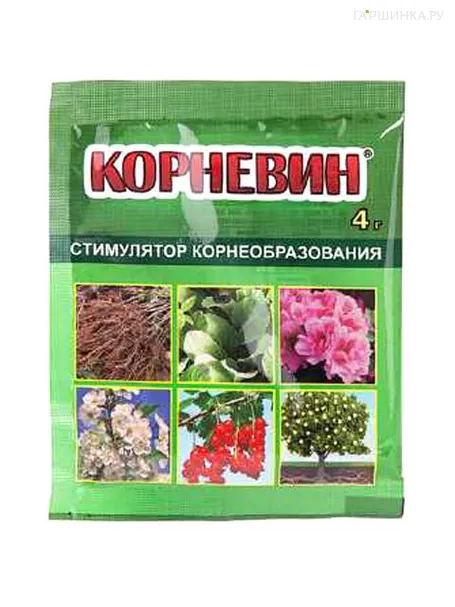Корневин стимулятор корнеобразования