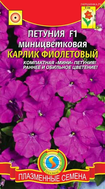 Петуния Карлик Фиолетовый миницветковая F1